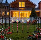 Multicolor Christmas star tube stake light glowing in festive colors - single-set scene