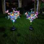 Solar Colorful Butterfly Garden Stake Lights shown as solar garden stake lights for outdoor display