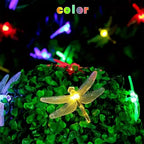 Solar Dragonfly String Lights shown as solar string lights for outdoor decoration
