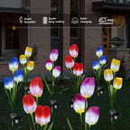 Solar Tulip Garden Stake Lights shown as solar garden stake lights for outdoor display